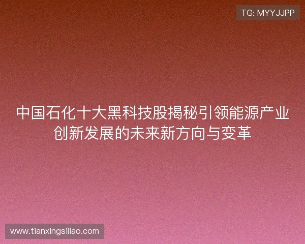 中国石化十大黑科技股揭秘引领能源产业创新发展的未来新方向与变革